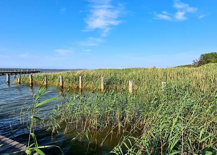 別荘 Boddenblick 9 A Fuhlendorf